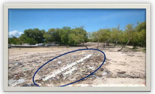 Gambar 1. Kondisi hutan mangrove yang telah menipis Kelurahan Oesapa Barat 