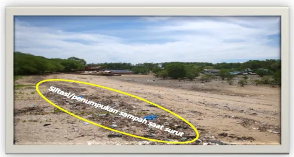 Gambar 2. Kondisi hutan mangrove yang telah menipis Kelurahan Oesapa Barat 