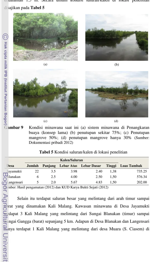 Gambar 9 Kondisi minawana saat ini (a) sistem minawana di Penangkaran buaya (konsep lama) (b) penutupan sekitar 75%; (c) Penutupan mangrove 50%; (d) penutupan mangrove hanya 30% (Sumber:
