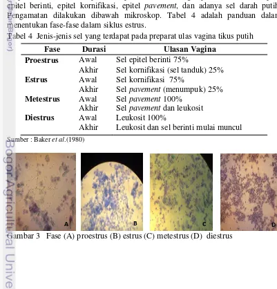 Tabel 4  Jenis-jenis sel yang terdapat pada preparat ulas vagina tikus putih 
