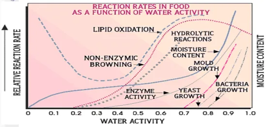 Tabel 6. Pengaruh jenis kedelai dan larutan blansir terhadap  aktivitas air tepung tempe 