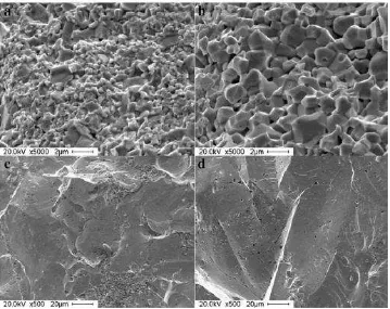 Figure 2.1:  SEM microstructure of fracture surfaces of the samples sintered at 