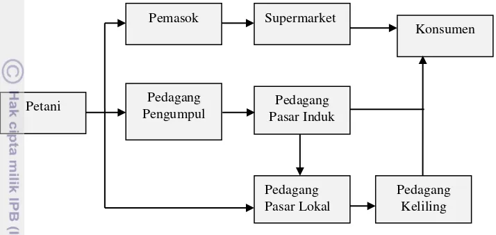 Gambar 3. Rantai pasok kentang jenis Granola 