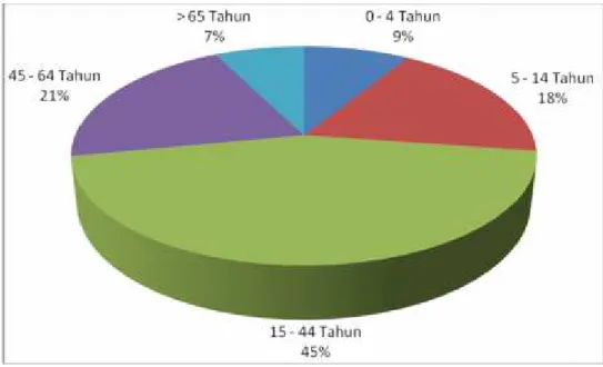 Gambar 2.2 : Proporsi Kelompok Umur Penduduk di Kabupaten Purbalingga Tahun 2012.