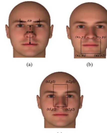 Fig. 3. (a) Anthropometric measurement; (b) focused mouth region (FMR); (c)focused distortion region (FDR).