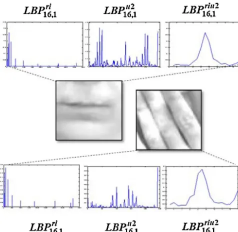 Fig. 12. LBP histogram for not covered mouth and covered mouth regions.