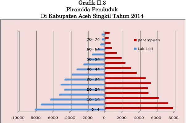 Grafik II.3  Piramida Penduduk 