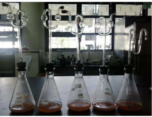 Gambar 4  Proses fermentasi bioetanol  