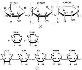 Gambar 2. Struktur (a) amilosa dan (b) amilopektin 