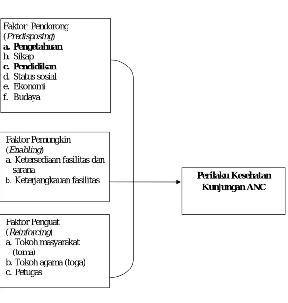 Gambar : 2.1 kerangka teori 