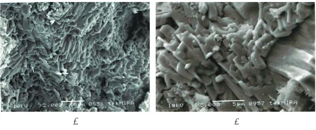 Gambar 14. Tekstur memipa (capillary) fasa bahan geopolimer percontoh No.1 (kuat tekan 65,23 kg/