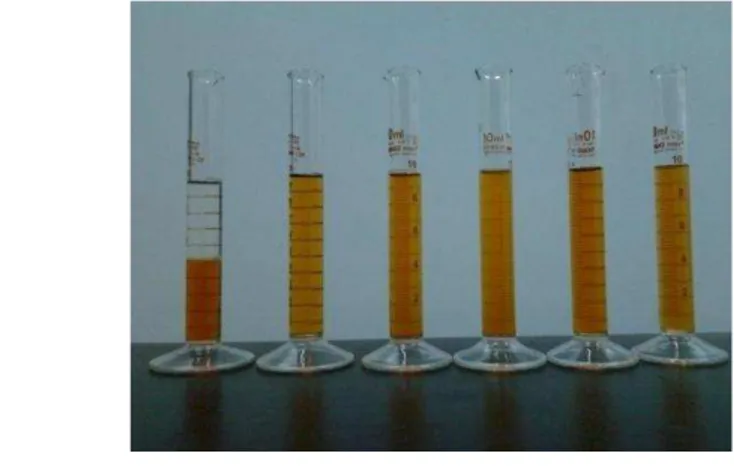 Gambar  12.Kelarutan  nanogingerolpada  berbagai  tingkat  polaritas  pelarut  (dari  kiri ke kanan) n-heksan, etil asetat, aseton, etanol, methanol dan air