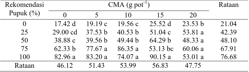 Tabel 7.  Serapan P (mg batang-1) tanaman jagung pada VI MST terhadap                 pemberian CMA dan pupuk  Rekomendasi CMA (g pot-1) 
