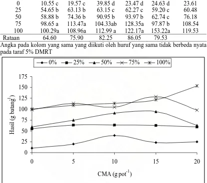 Tabel 10.  Hasil pipilan kering (g batang-1) jagung terhadap pemberian                   CMA dan pupuk Rekomendasi CMA (g pot-1) 