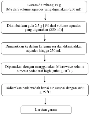 Gambar 1. Diagram alir pembuatan larutan garam 