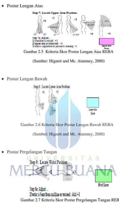 Gambar 2.7 Kriteria Skor Postur Pergelangan Tangan REBA  (Sumber: Hignett and Mc. Atamney, 2000) 