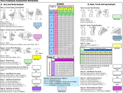 Gambar 1. Tahapan dan Dimensi Tubuh Rapid Upper Limb Assessment  Antropometri 