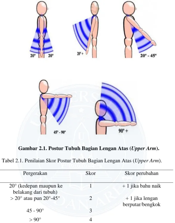 Gambar 2.1. Postur Tubuh Bagian Lengan Atas (Upper Arm). 