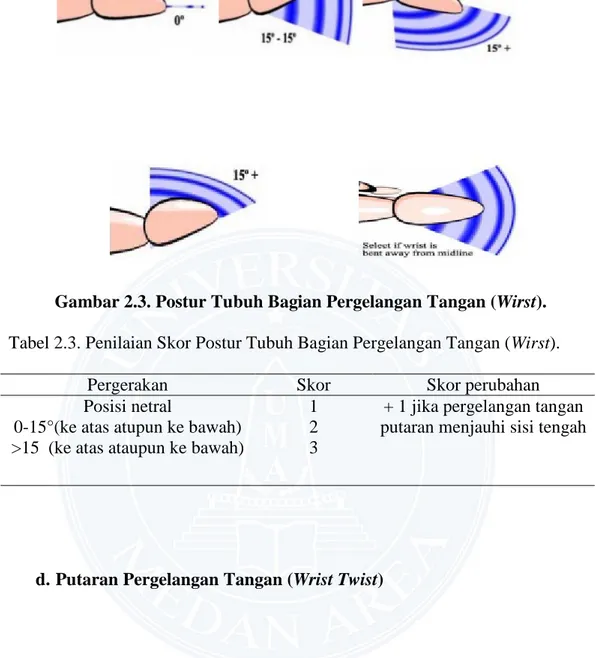 Tabel 2.3. Penilaian Skor Postur Tubuh Bagian Pergelangan Tangan (Wirst). 