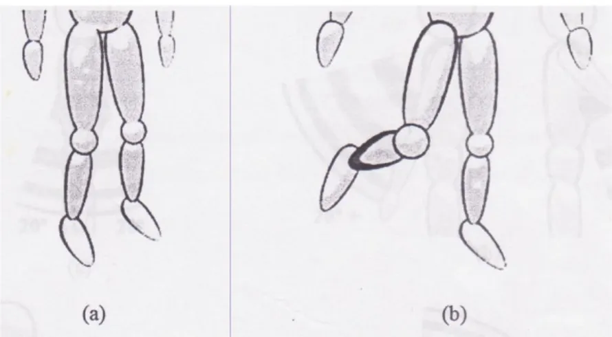 Gambar 3. Range pergerakan kaki (a) kaki tertopang, bobot tersebar merata,  (b) kaki tidak tertopang, bobot tidak tersebar merata