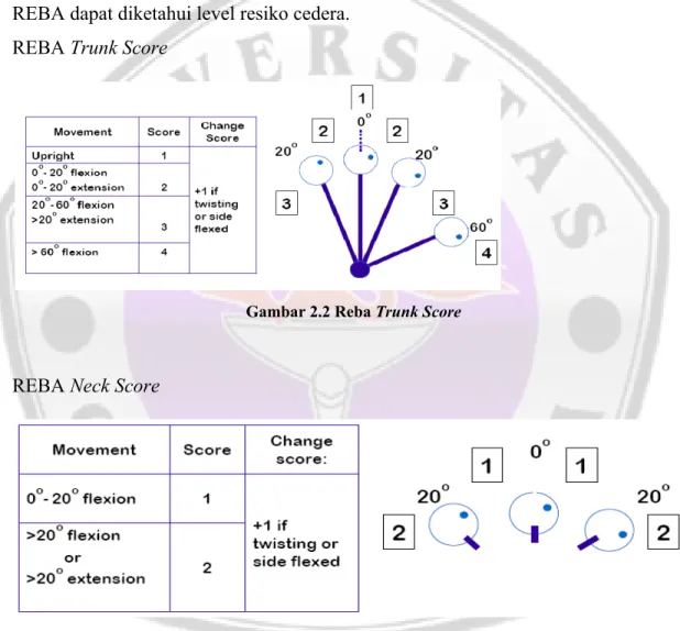 Gambar 2.2 Reba Trunk Score 