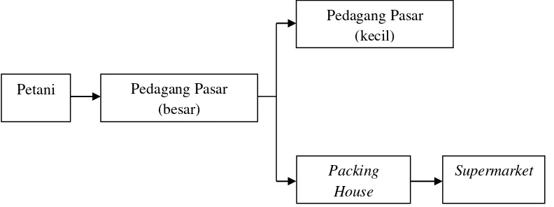 Gambar 2  Identifikasi model rantai logistik industri hortikultura (sayuran) 