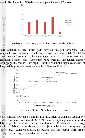 Gambar 13  NO3 Simulasi dan Observasi 