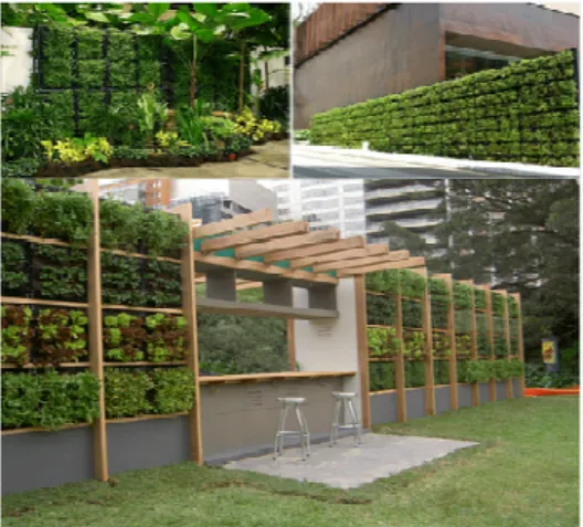 Gambar  1 Vertical Garden Indoor 