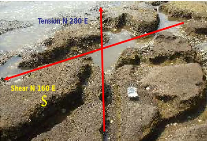 Gambar  5. Singkapan batupasir Formasi Damar di pantai Ujungnegoro  (S 06º53'32,0”; E 109º47'56,9”), memperlihatkan struktur  kekar.