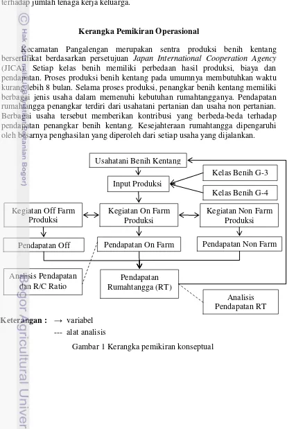 Gambar 1 Kerangka pemikiran konseptual 