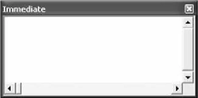 Gambar 2.7 Immediate Windows 