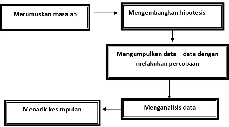 Gambar 1.  langkah-langkah proses pembelajaran inkuiri terbimbing Menurut Ibrahim (2007) 