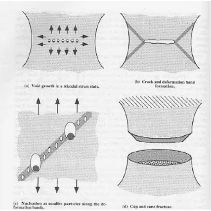 Figure 2 : Micro inter-granular void nucleation to failure process (Anderson, 1995) 