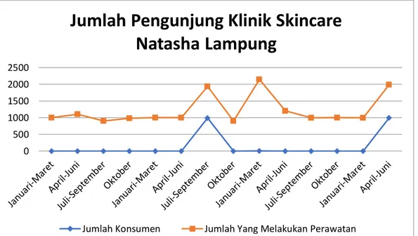 Gambar 1.1 Jumlah Pengunjung di Klinik Skincare Natasha Lampung  (2016-2019) 