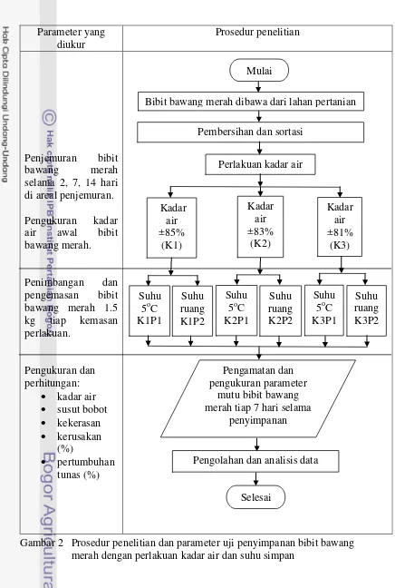 Gambar 2   Prosedur penelitian dan parameter uji penyimpanan bibit bawang 