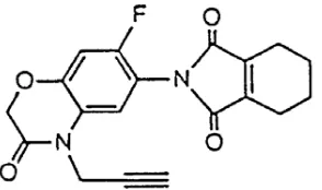 Gambar 1. Struktur kimia flumioxazin (Tomlin, 2011) 