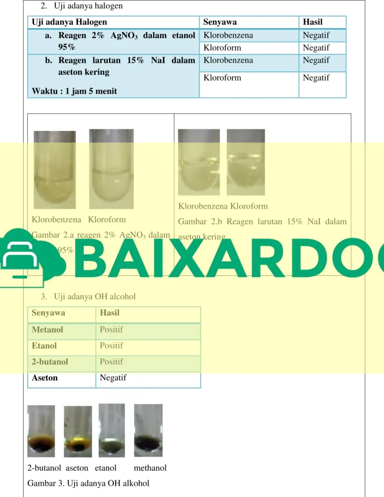 Gambar  2.a  reagen  2%  AgNO 3  dalam  etanol  95%