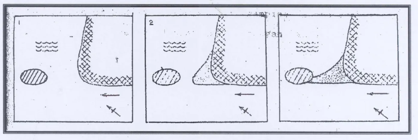 Gambar 6.  Diagram Windrose tahunan dari hasil analisis data frekuensi angin permukaan  (1961-1965).