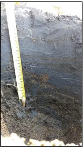 Gambar 4. Kenampakkan struktur sedimen dari blacksand 