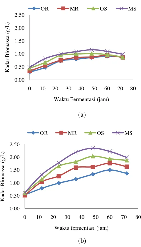 Gambar 3  Pola pertumbuhan biomassa selama fermentasi (a) percobaan pertama 