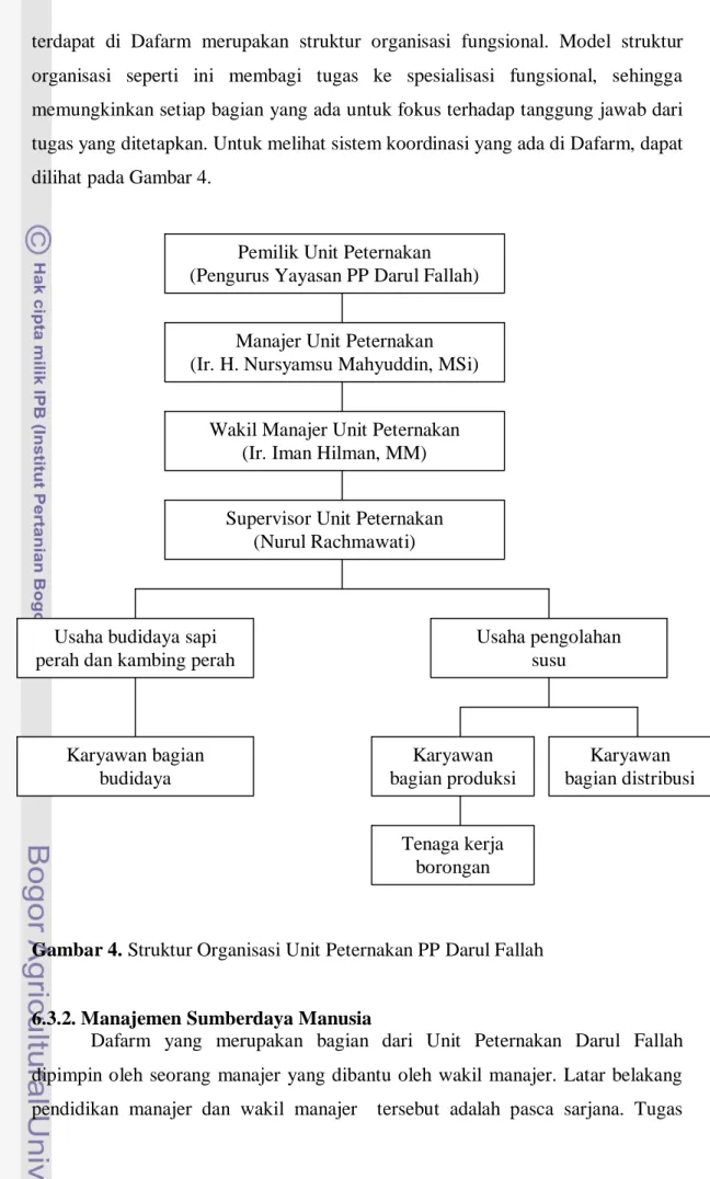 Gambar 4. Struktur Organisasi Unit Peternakan PP Darul Fallah          