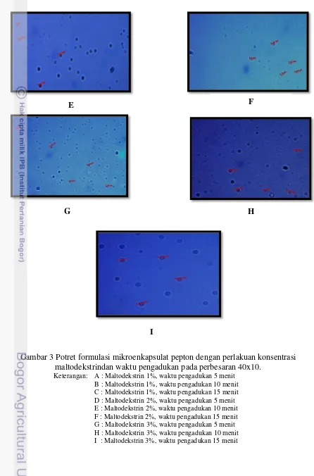 Gambar 3 Potret formulasi mikroenkapsulat pepton dengan perlakuan konsentrasi 