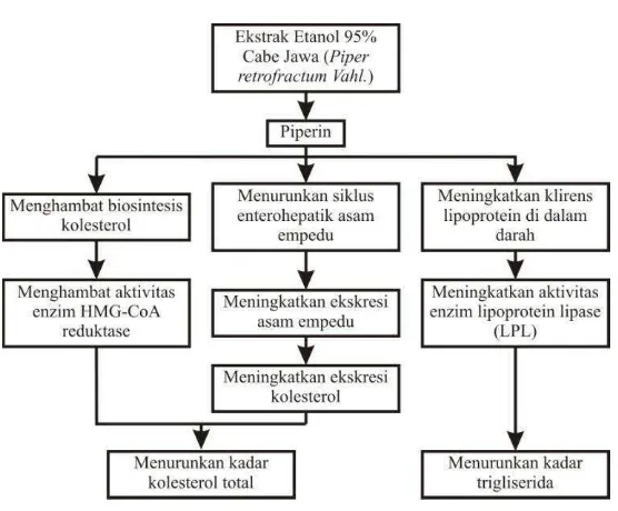 Gambar 1. Kerangka teori. 