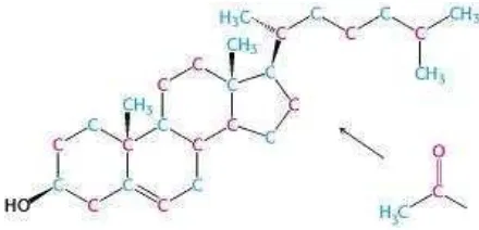 Gambar 3. Struktur kimia kolesterol (Berg dkk., 2012) 