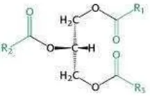 Gambar 4. Struktur kimia trigliserida (Berg dkk., 2012) 