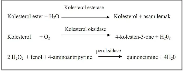 Gambar 8. Reaksi yang terjadi pada pemeriksaan kadar kolesterol total. 