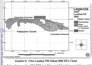 Gambar 8. Citra Landsat TM Tahun 2003 DTA Ciseel 