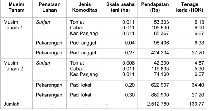Tabel  1.    Pendapatan  usaha  tani  keluarga  di  lahan  rawa,  Palingkau,  Kapuas  Kalimantan Tengah, 2009   Musim  Tanam  Penataan Lahan  Jenis  Komoditas  Skala usaha tani (ha)  Pendapatan (Rp)  Tenaga  kerja (HOK)  Musim  Tanam 1  Surjan   Tomat Caba