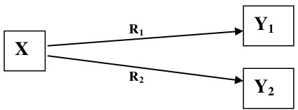 Gambar 2. Model toeritis hubungan antara variabel bebas (X) terhadap variabel terikat (Y1) dan (Y2)