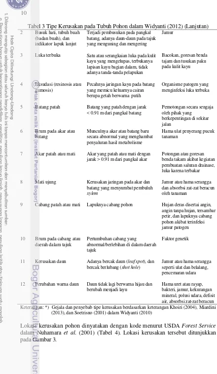 Tabel 3 Tipe Kerusakan pada Tubuh Pohon dalam Widyanti (2012) (Lanjutan) 